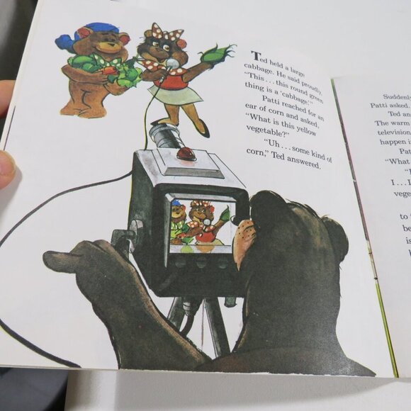 Ted E. Bear & Friends 1983 SUMMER IT SNOWED IN BEARBANK LP Vinyl Record & Book - Picture 11 of 16